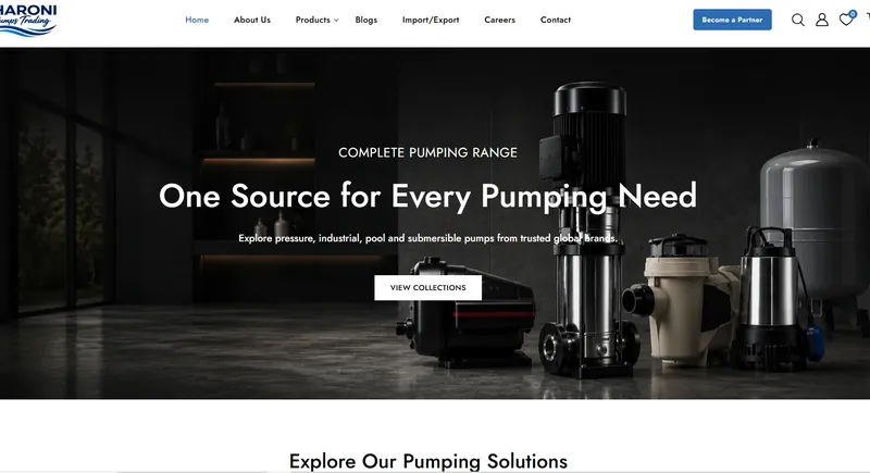 Aharoni Pumps website by Main Stream54